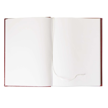 1829-319-044 Złota księga złocona 220x307 - bordo blok i lico