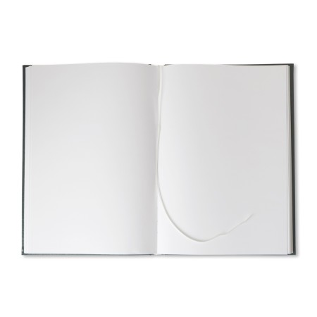 1829-319-046 Złota księga złocona 220x307 - zieleń blok i lico