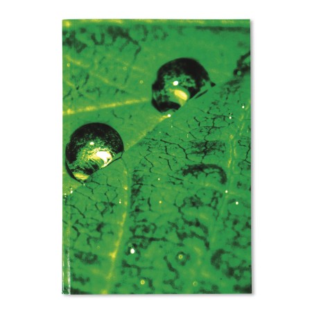 1829-120-012 Notes 100x145, ~60k, okładka zadrukowana, grzbiet klejony