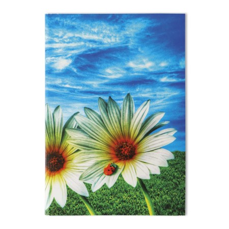 1829-120-012 Notes 100x145, ~60k, okładka zadrukowana, grzbiet klejony