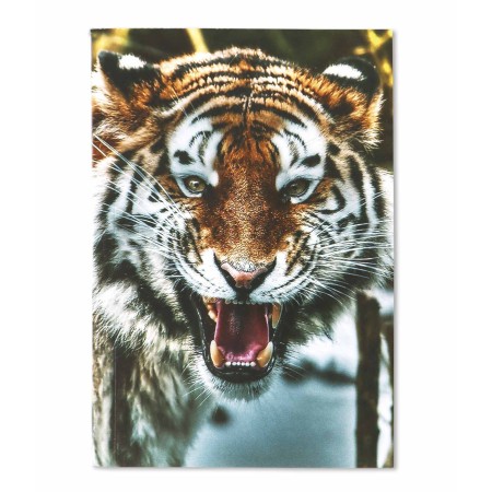 1829-120-012 Notes 100x145, ~60k, okładka zadrukowana, grzbiet klejony