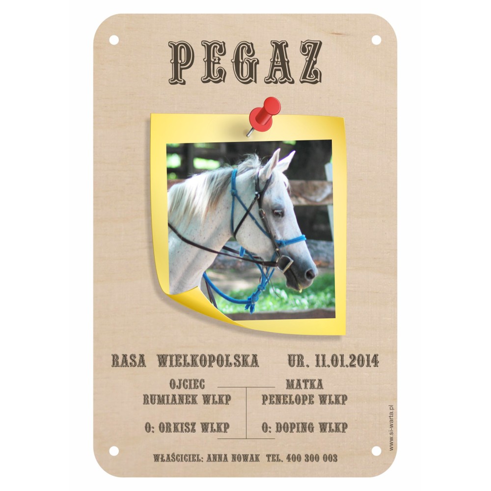 1822-126-468 Tabliczka ze zdjęciem na boks dla konia - wzór 4