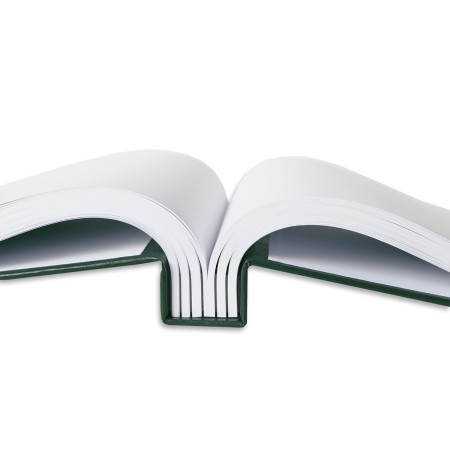 1829-319-003 Kronika 415x297 złocona, zieleń - grzbiet