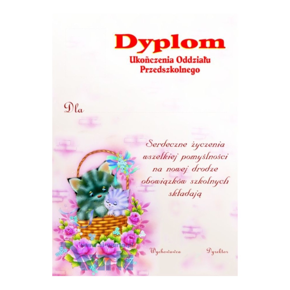 1829-314-002 Dyplom Ukończenia Oddziału Przedszkolnego - wzór 03