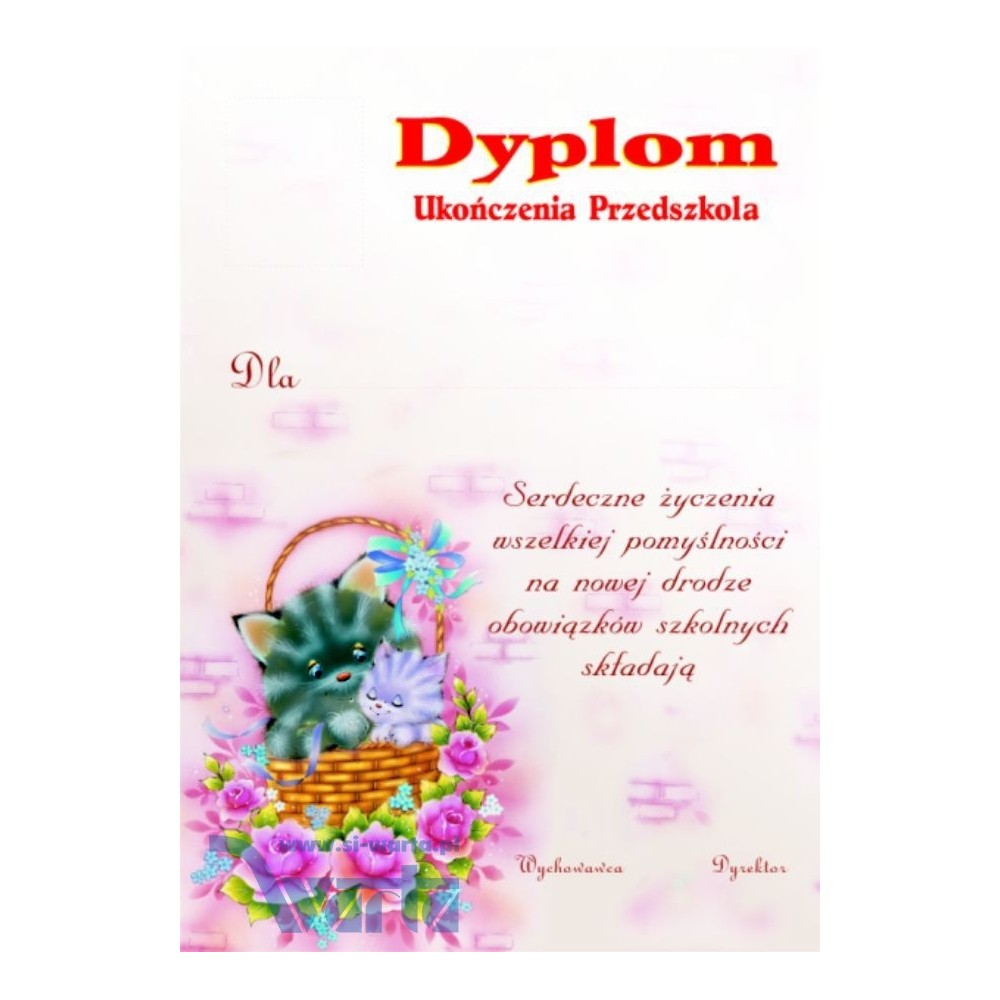 1829-314-002 Dyplom Ukończenia Przedszkola - wzór 65