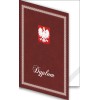 1824-333-700 Okładka okolicznościowa - Dyplom - wzór 21, z paskiem narożnym