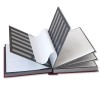 1829-110-010 Klaser filatelistyczny 215x305, 24k, z futerałem - bordo blok